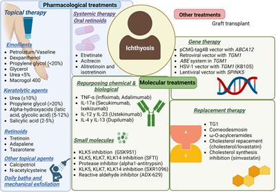 Advances in the treatment of autosomal recessive congenital ichthyosis, a look towards the repositioning of drugs